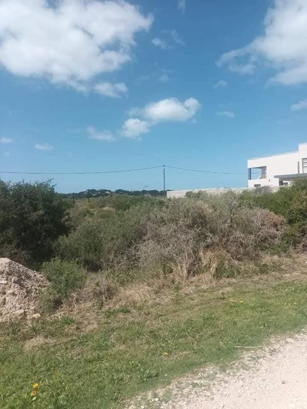 0 Bedroom Property for Sale in Colchester Eastern Cape